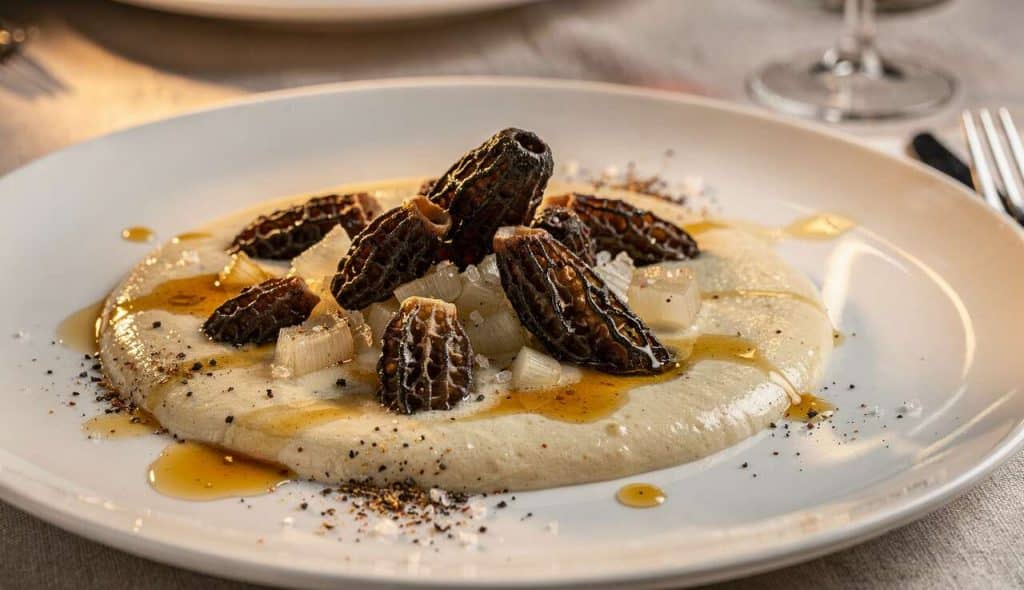 Délice Crémeux aux Morilles et Cognac