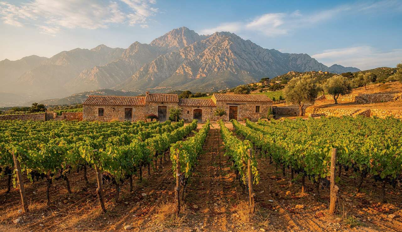 Visites de caves et d&eacute;gustations : les incontournables