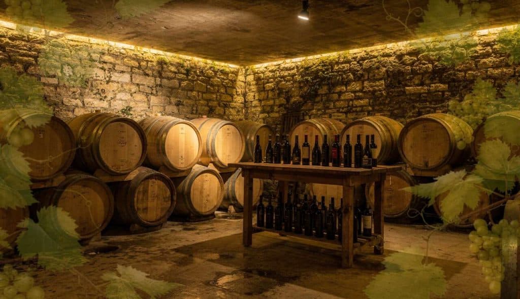 Vins de Gevrey-Chambertin : guide Complet