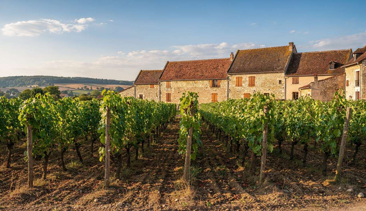 Histoire et patrimoine des vignobles de gevrey-chambertin