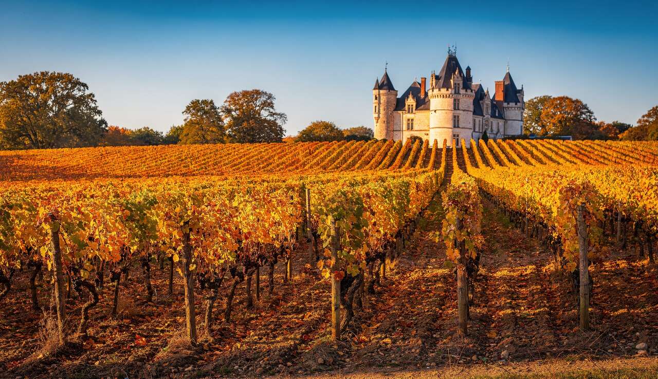 D&eacute;couvertes culturelles et gastronomiques associ&eacute;es