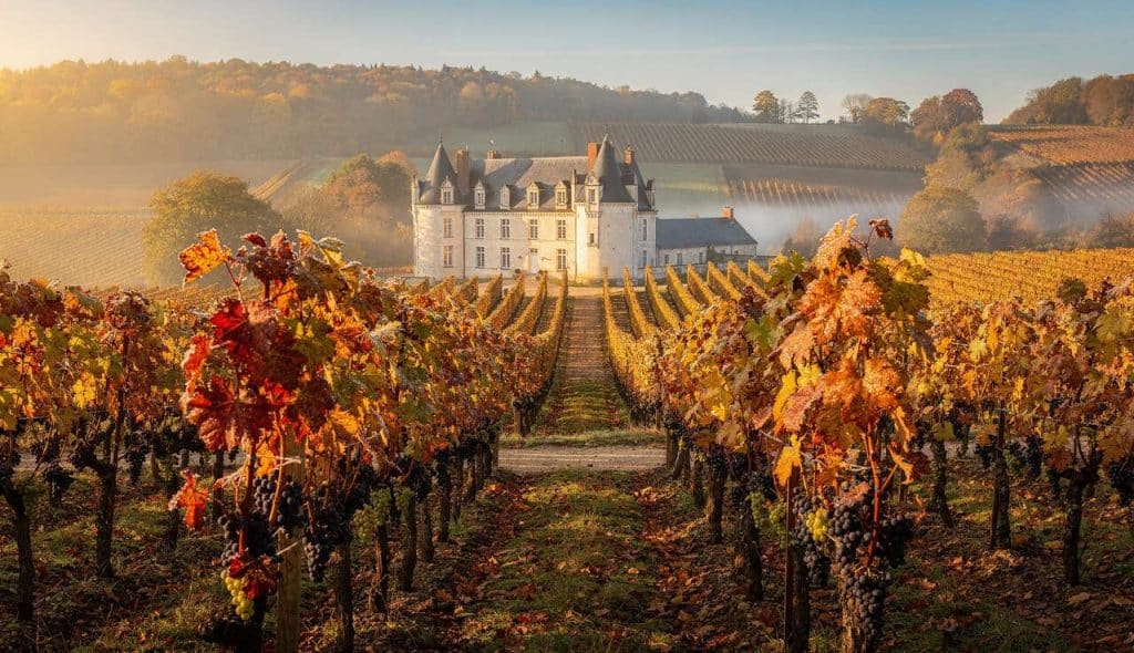 Séjours œnologiques dans le Val de Loire