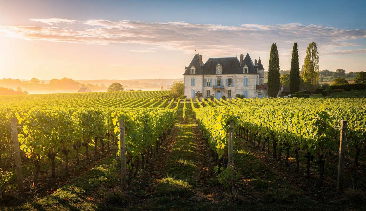 D&eacute;couverte des c&eacute;pages embl&eacute;matiques du val de loire