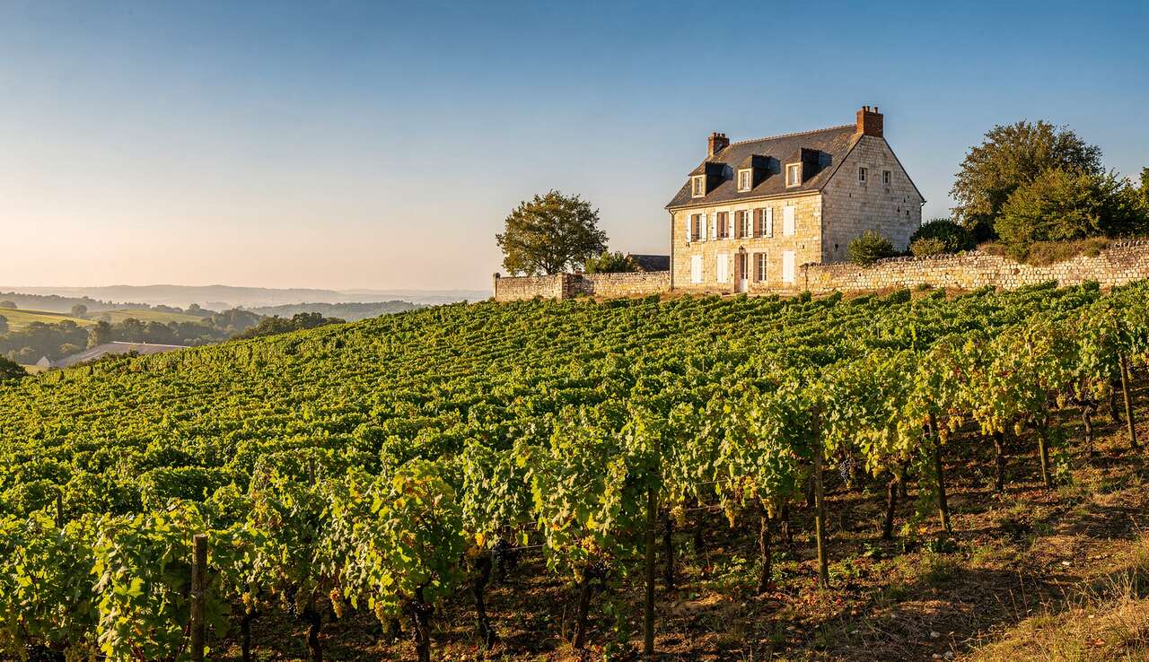 Déclassement de l'appellation Vouvray : impact et enjeux