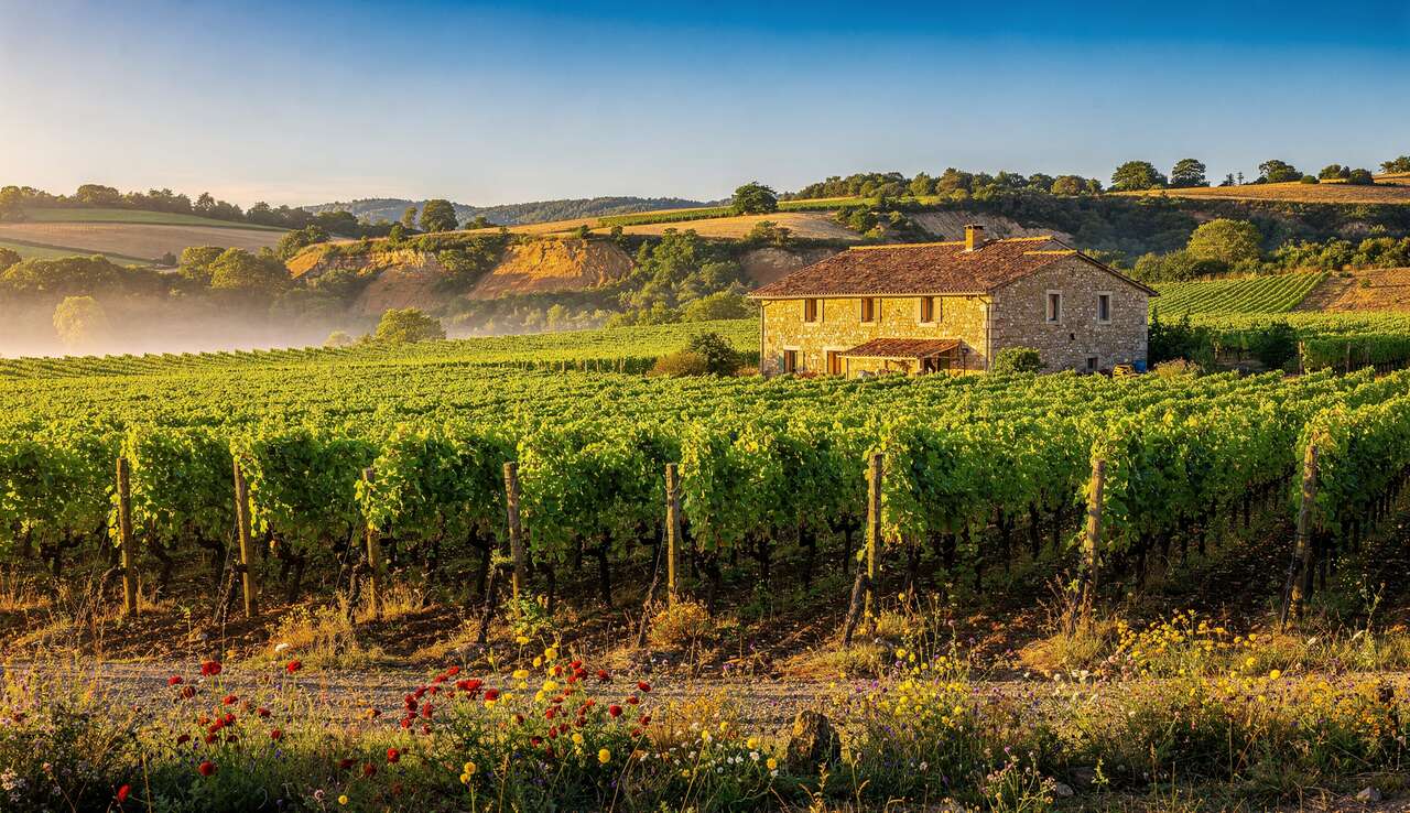 Le vignoble septentrional : un terroir unique Le vignoble septentrional : un terroir unique