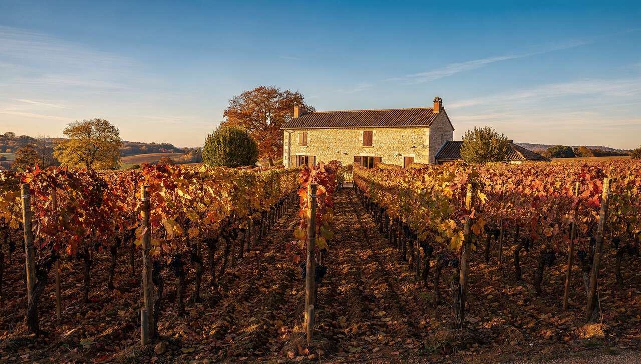 Découverte du Domaine Pardon & Fils en Beaujolais