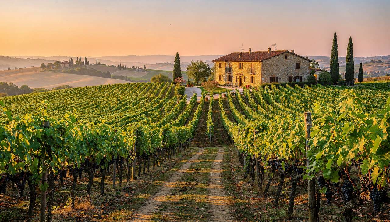 Les r&eacute;gions viticoles majeures d'italie