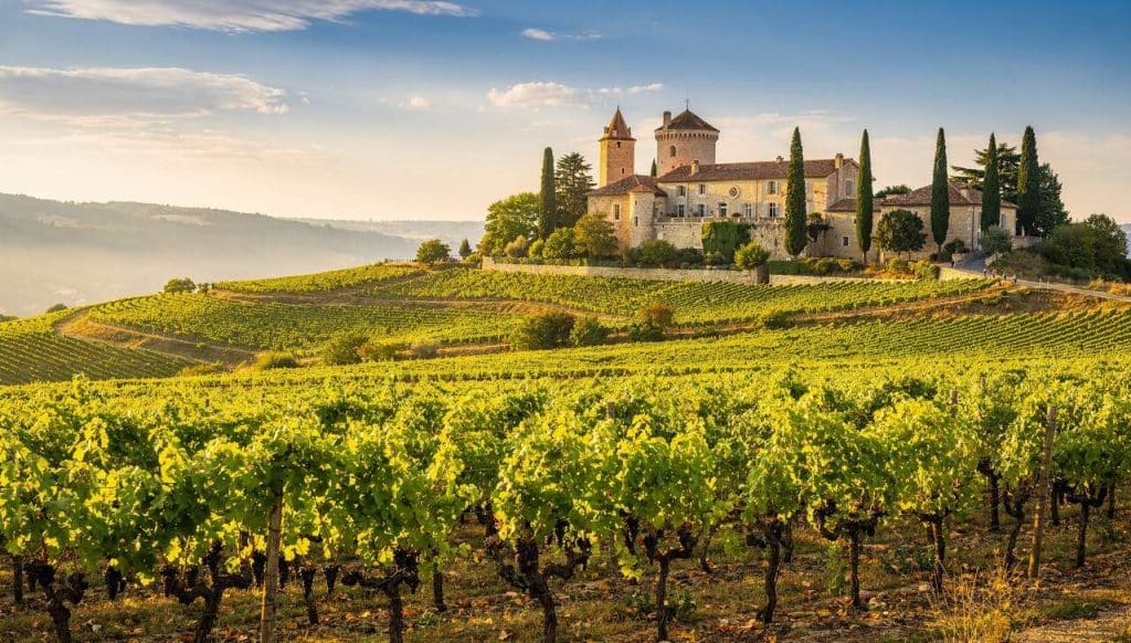 Séjours œnologiques en Vallée du Rhône : découvrez des Vins d'Exception