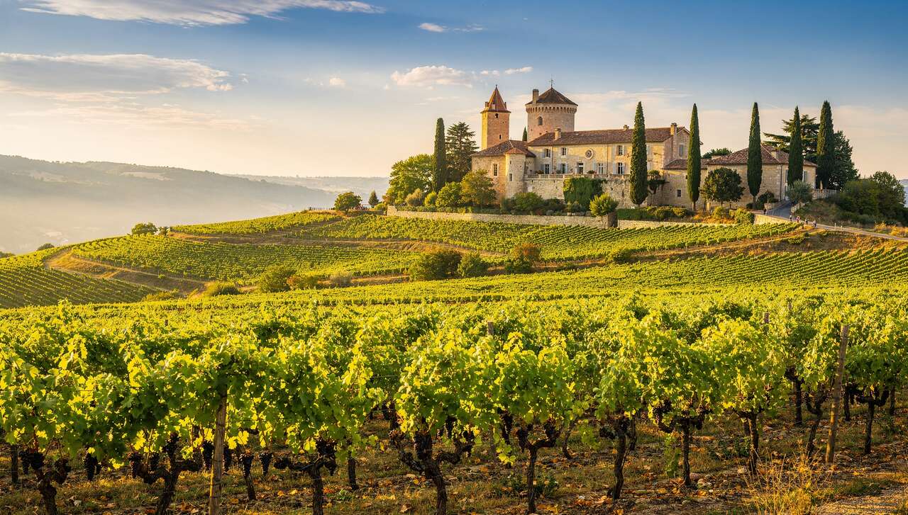 Séjours œnologiques en Vallée du Rhône : découvrez des Vins d'Exception