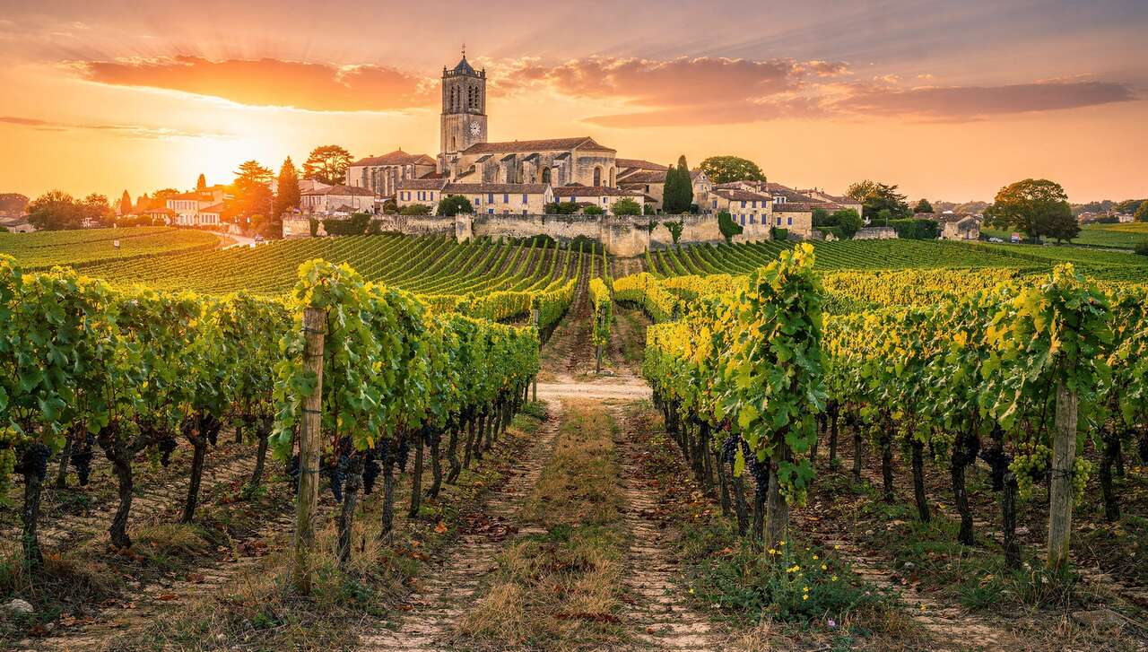 Focus sur les vins de Saint-Émilion : caractéristiques et dégustation