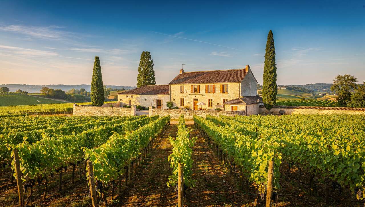 Les plus beaux domaines viticoles de Bourgogne