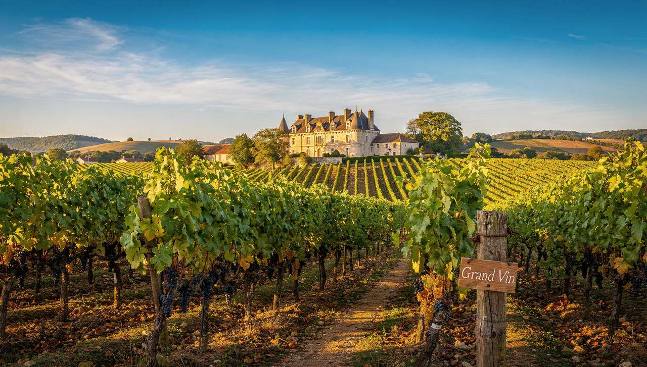 Séjours œnologiques dans le Sud-Ouest : expériences vinicoles uniques