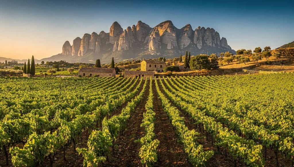 Séjours œnologiques en Catalogne : découvrez les vins locaux