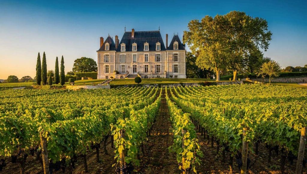 Cours d'oenologie en France : découvrez Vinotrip