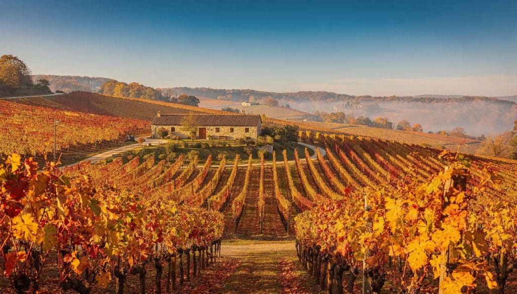 Quand partir en weekend œnologique ?