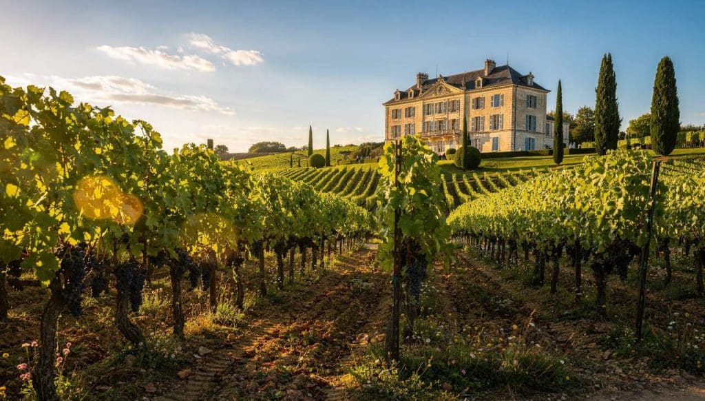 Adresses gourmandes du vignoble bordelais : découvrez les incontournables