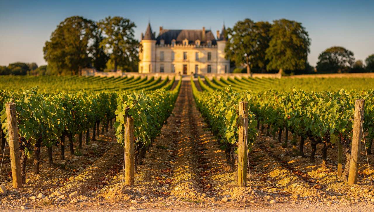 Qu'est-ce qu'un Cru Bourgeois ?