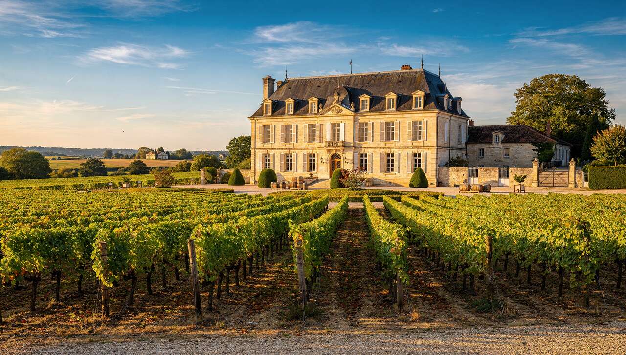 Les crus bourgeois exceptionnels aujourd'hui