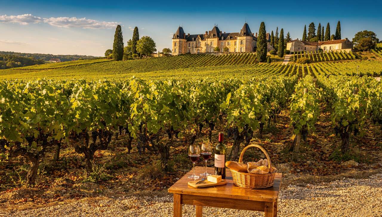 Week-ends gastronomiques avec Vinotrip : découvrez l'oenotourisme en France