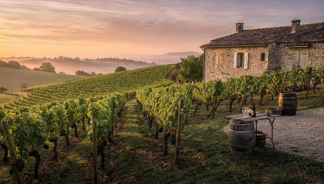 Le vin : patrimoine culturel de la France