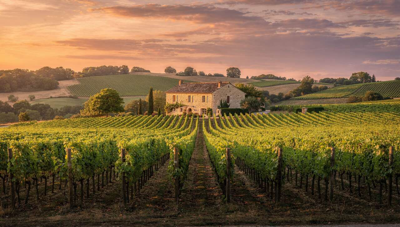 Les terroirs : une richesse diversifiée