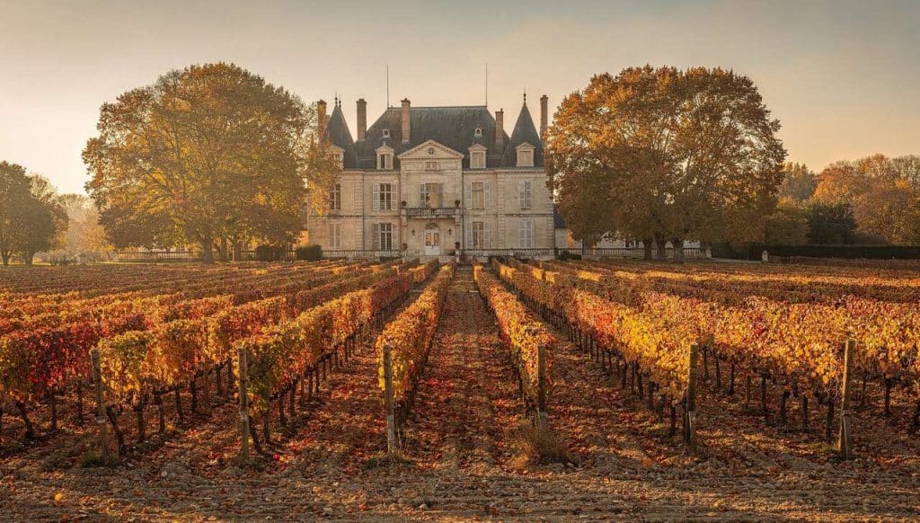 Histoire du vin au Château Pape Clément : un héritage ancestral