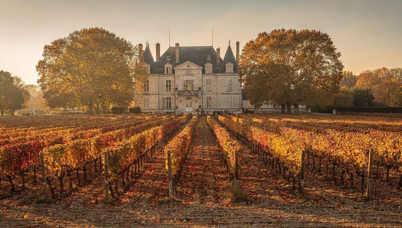 Histoire du vin au Château Pape Clément : un héritage ancestral