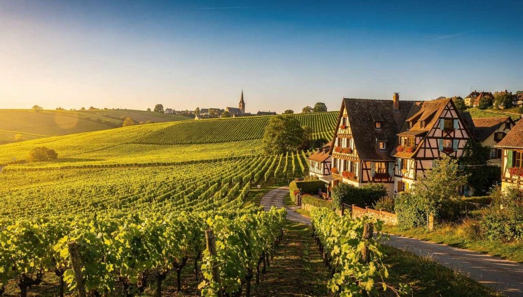 Dégustations uniques sur la Route des Vins d'Alsace