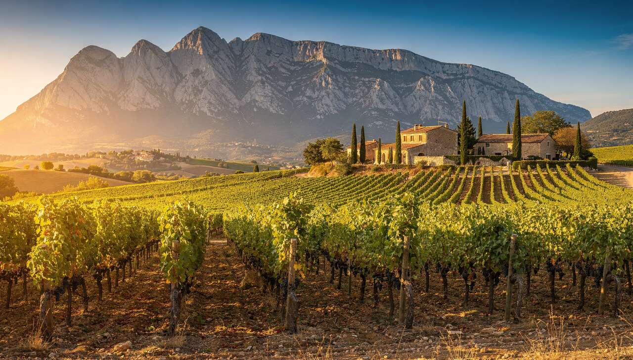 Découvrez le Vignoble du Languedoc-Roussillon