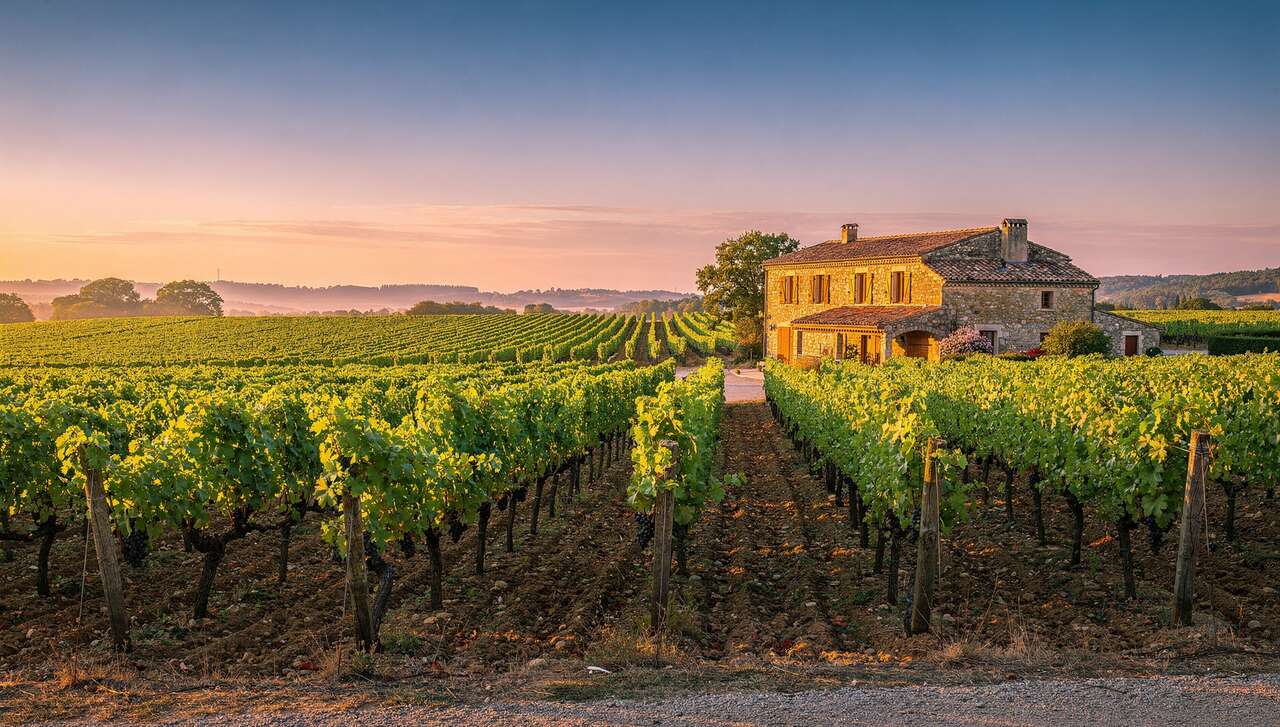 Découverte des domaines viticoles français
