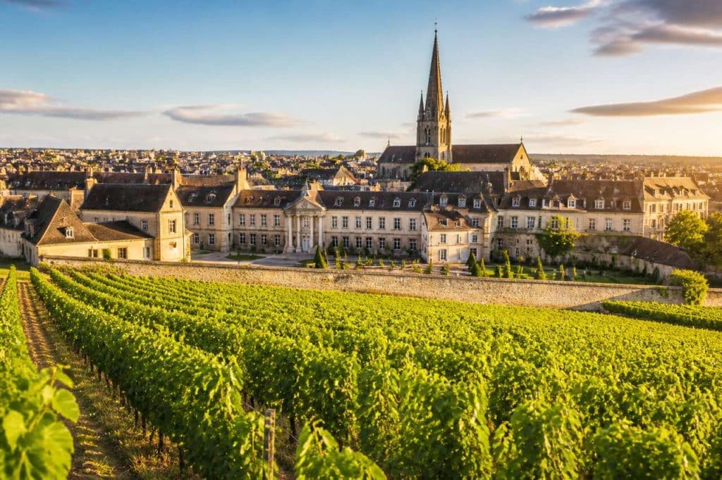 Découvrir Dijon et le vignoble de Bourgogne