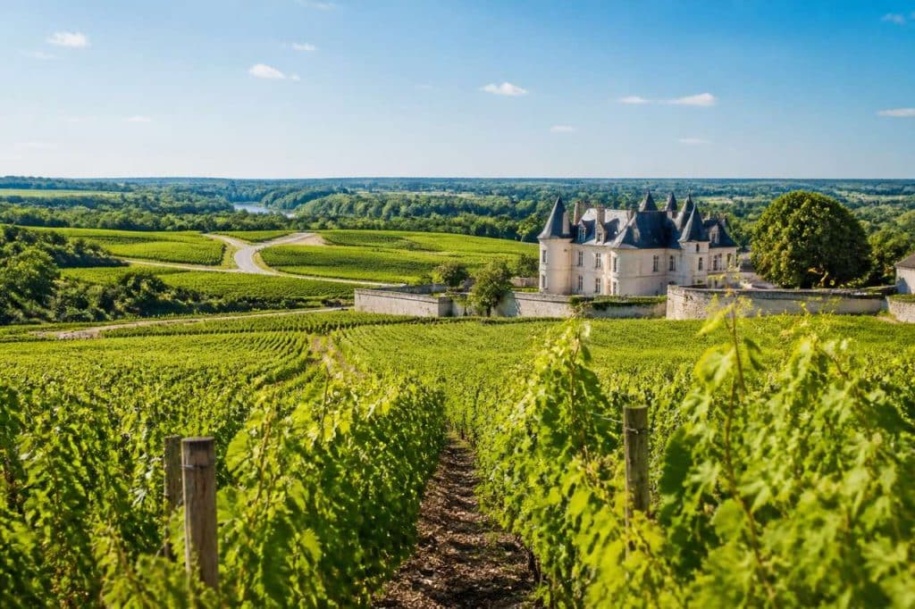 Les plus beaux domaines viticoles du val de loire