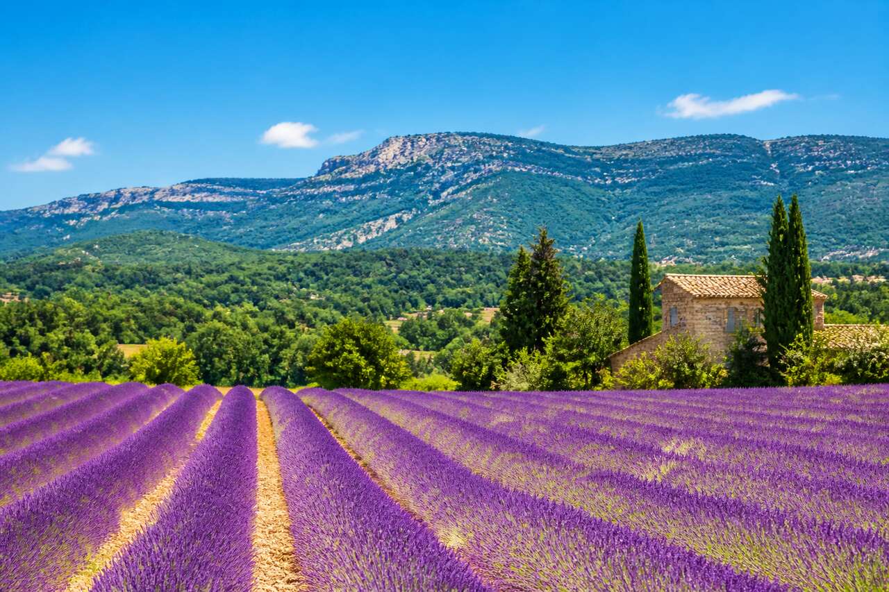 Week-ends gastronomiques en Provence