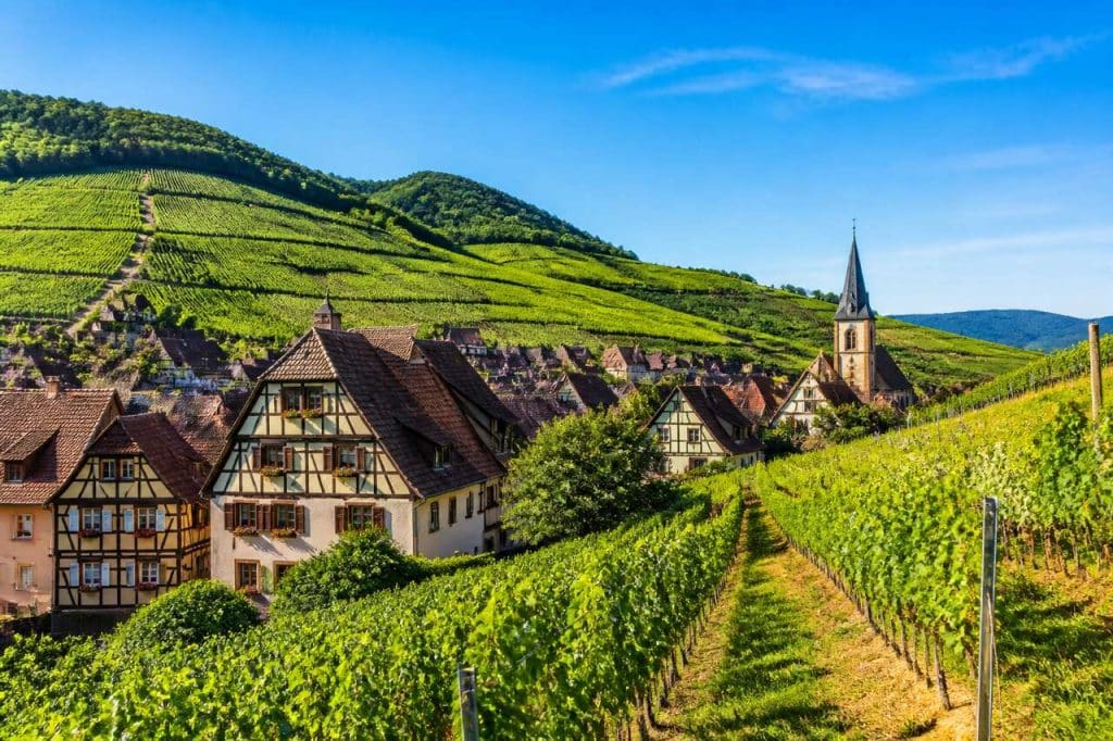 Dégustations uniques sur la Route des Vins d'Alsace