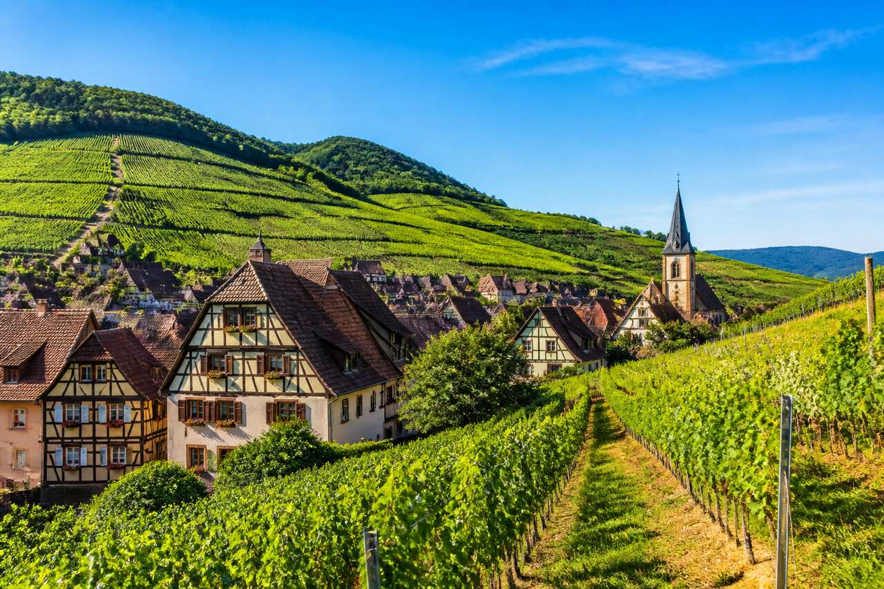 Dégustations uniques sur la Route des Vins d'Alsace