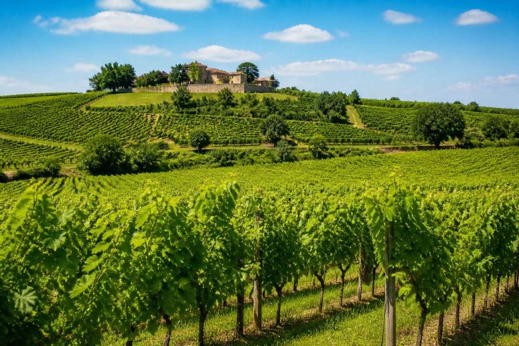 Adresses gourmandes du vignoble bordelais : découvrez les incontournables