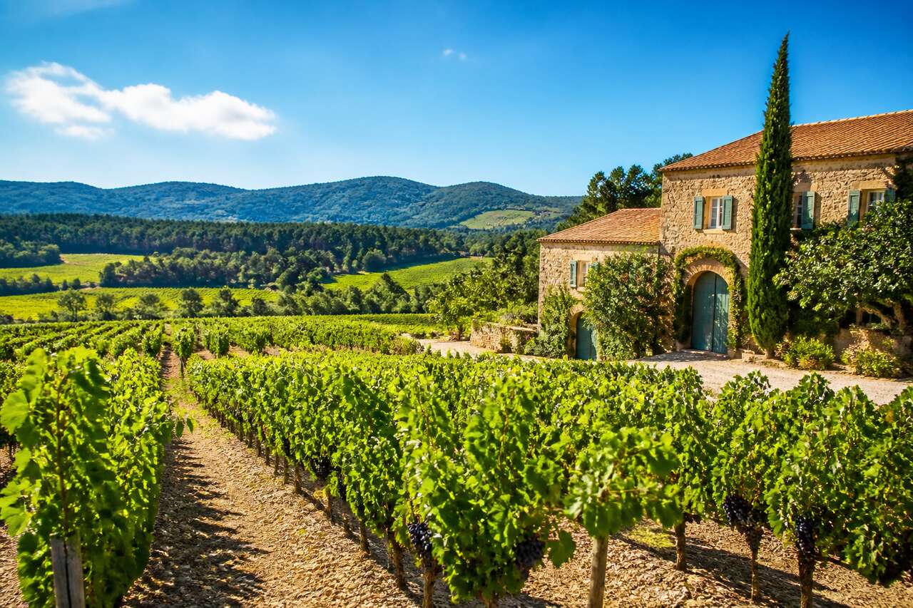 Route des vins : languedoc-Roussillon