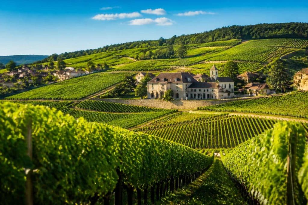 Route des vins en Côte de Nuits : découvrez les trésors viticoles