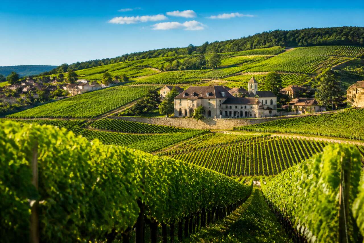 Route des vins en Côte de Nuits : découvrez les trésors viticoles