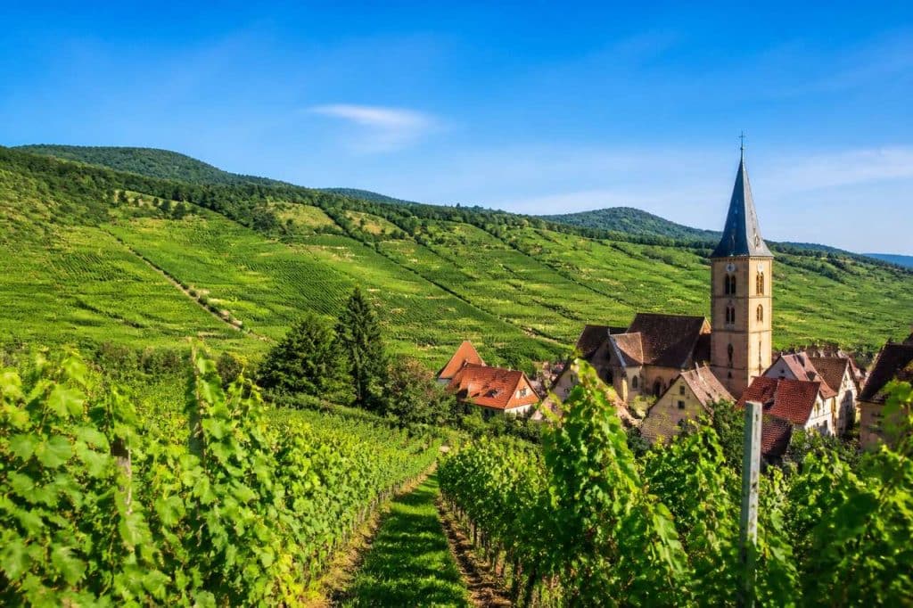 Séjours œnologiques en Alsace : découvrez les vignobles et leurs vins