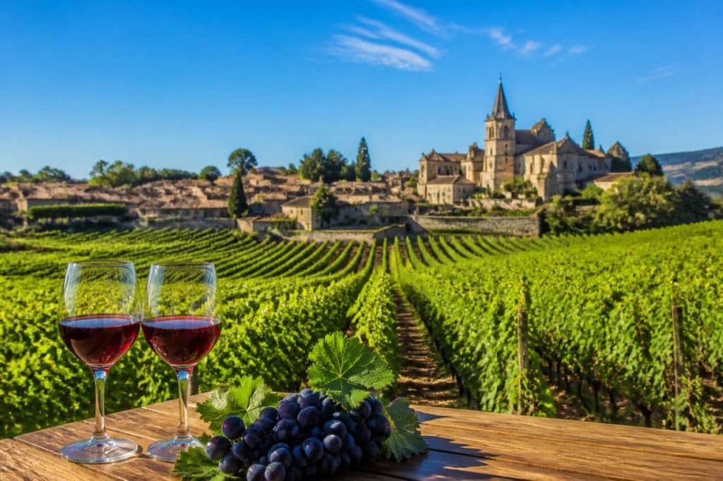Cours d'oenologie en France : découvrez Vinotrip