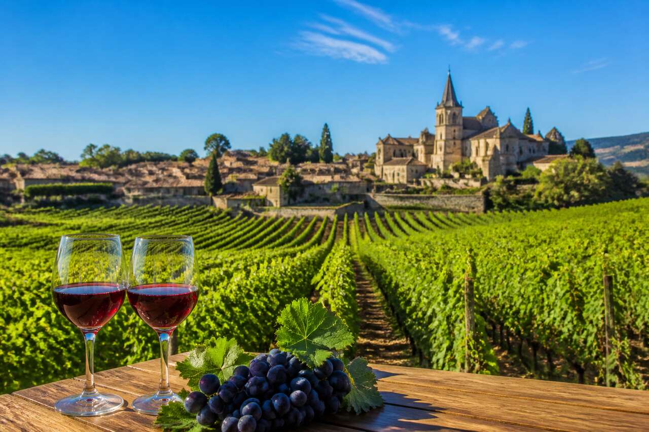 Cours d'oenologie en France : découvrez Vinotrip