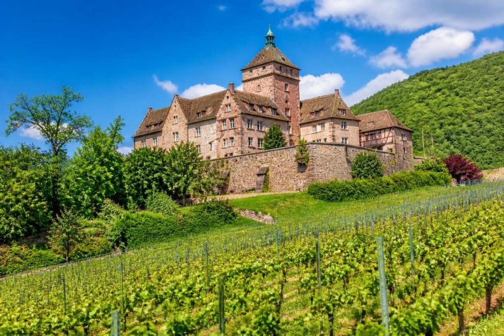 Château d'Isenbourg : découvrez la Route des Vins d'Alsace