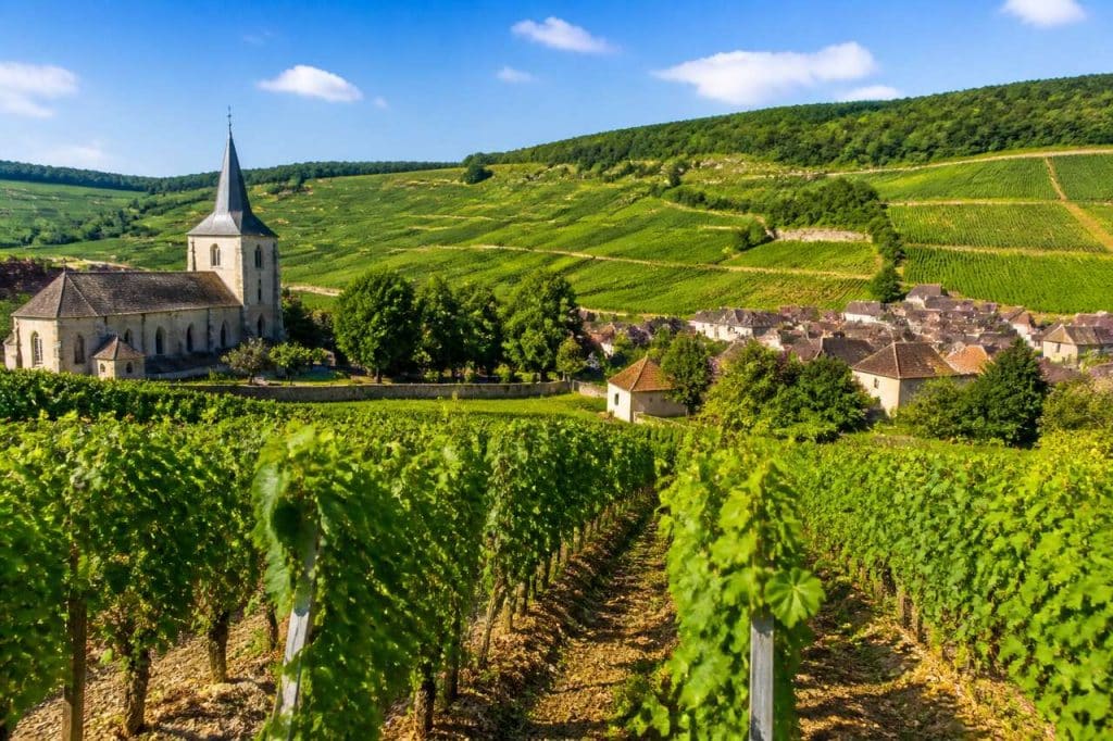 Les plus beaux domaines viticoles de Bourgogne