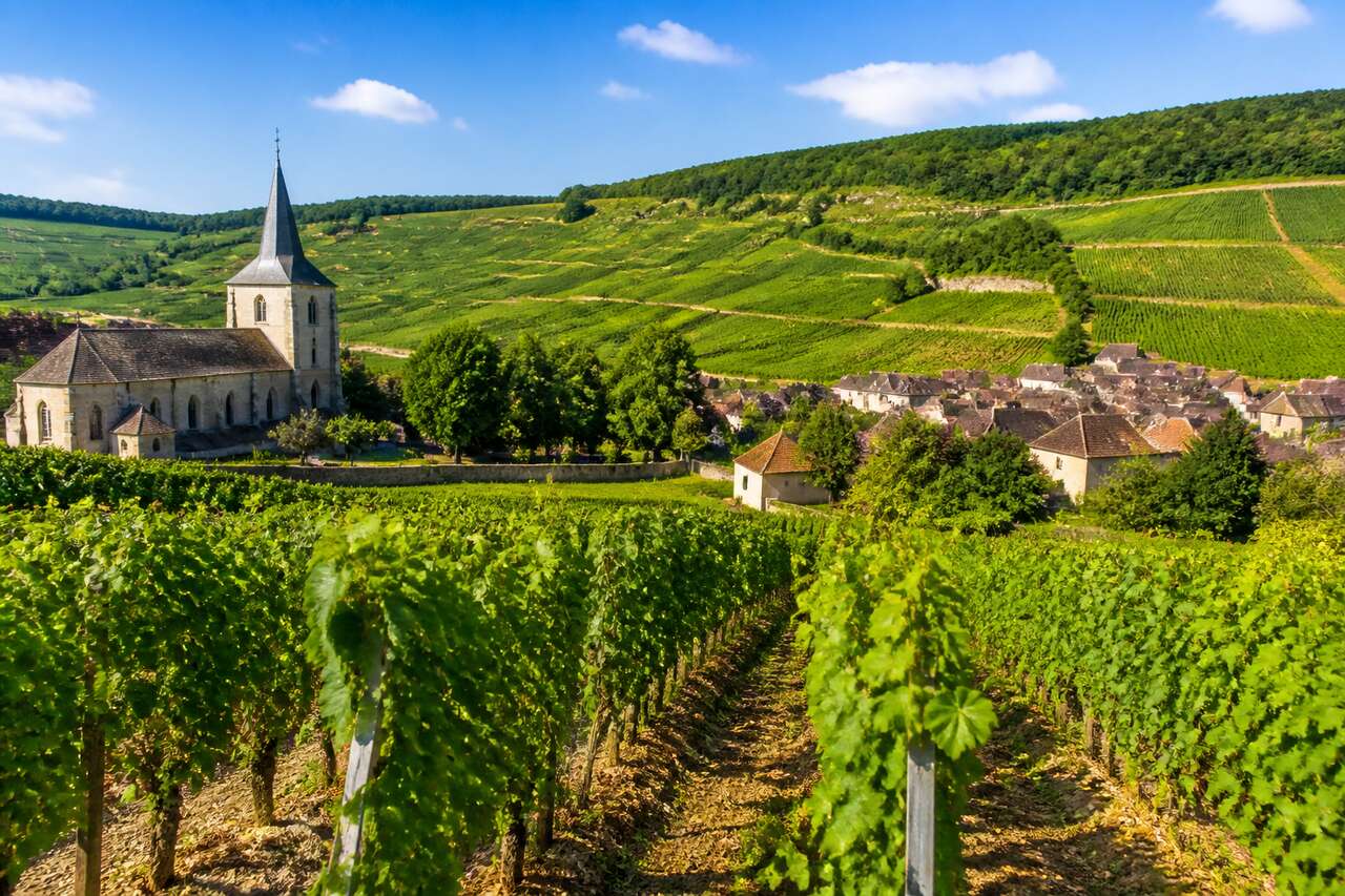 Les plus beaux domaines viticoles de Bourgogne