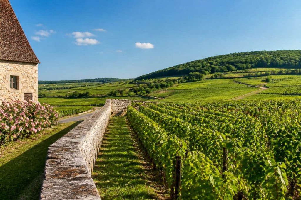 Hébergements insolites en Bourgogne : dormir au cœur du vignoble