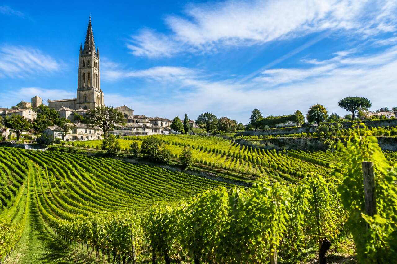 Focus sur les vins de Saint-Émilion : caractéristiques et dégustation