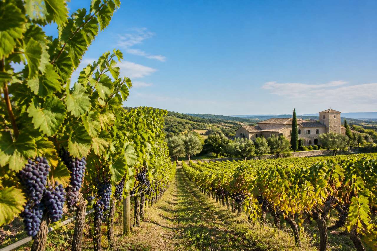 Les domaines incontournables à visiter