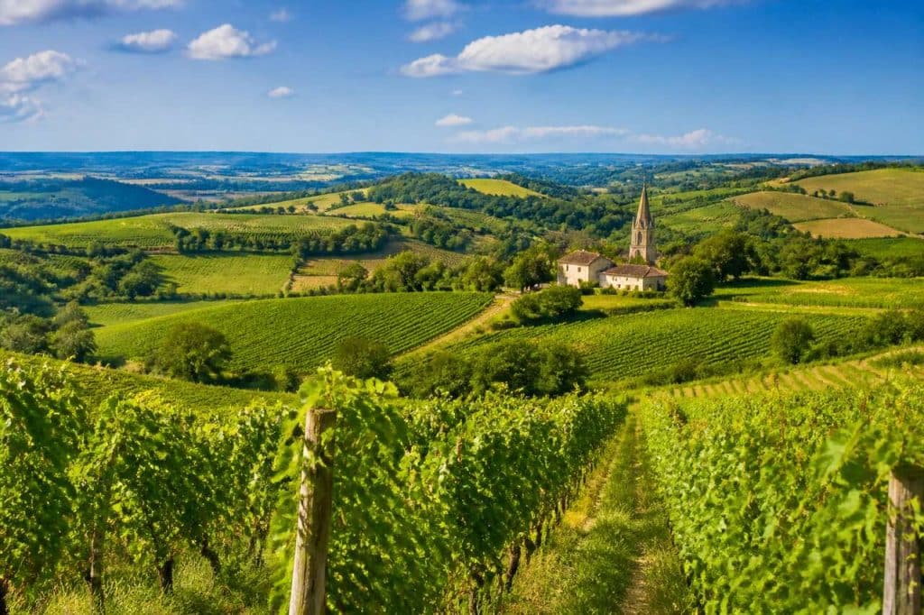 Route des Vins du Sud-Ouest : découverte et Œnologie