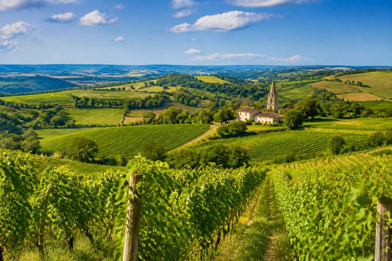 Route des Vins du Sud-Ouest : découverte et Œnologie